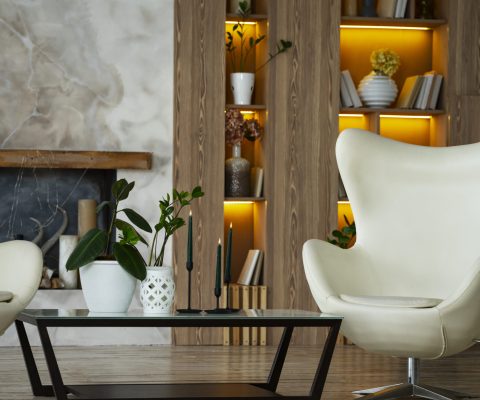 interior-room-design-with-armchair-potted-plants