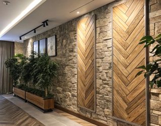 room-with-stone-wall-plants-wall
